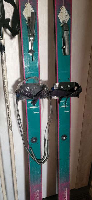 Лыжи Dynastar Viridium(Франція)