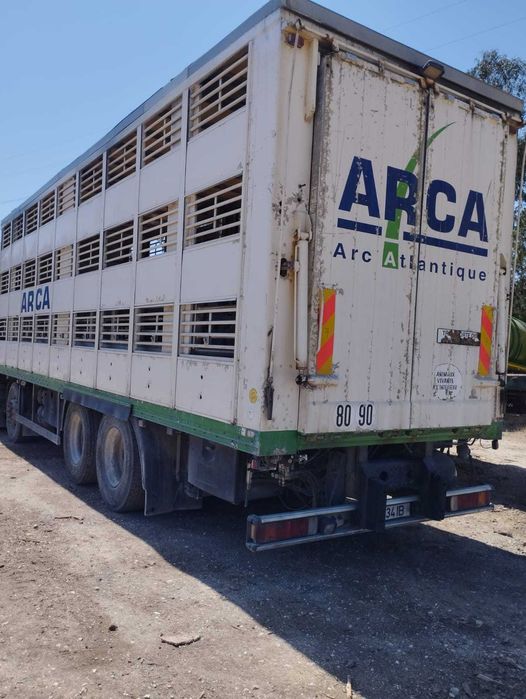 Scania transporte de animais vivos