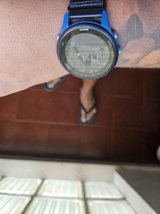Garmin Forerunner 255