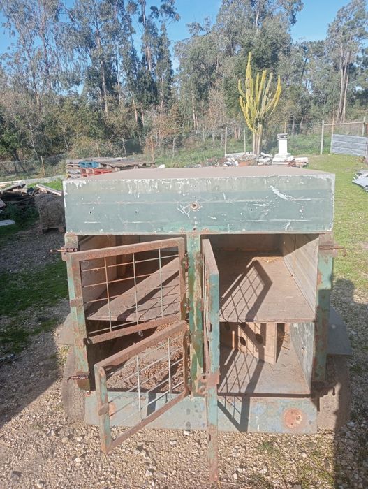 Atrelado/Reboque para cães