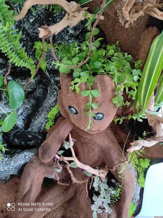 Terrarium z oczkiem wodnym dla kameleona, TW15GW, AquaWaves