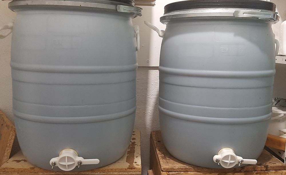 mel multifloral 2025