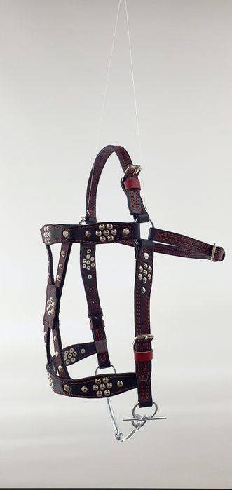 Кінна амуніція, Вуздечка , гнуздечка , кантарка, шкіра ручна робота