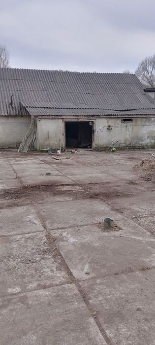 Ферма, корівник (колишній телятник)