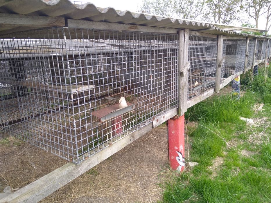 Klatki dla zwierząt, siatki ,kojce,siatki zbrojeniowe