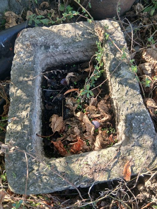 Pias de pedra antigas em bom estado calon
