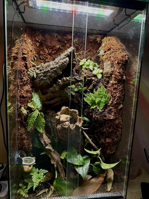 Terrarium 30x30x50 i inne