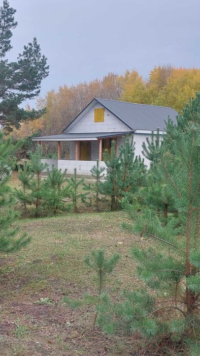 Ділянка з новобудовою.