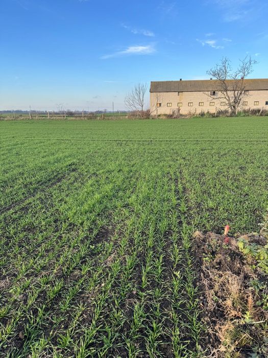 Sprzedam działki Siedliskowe