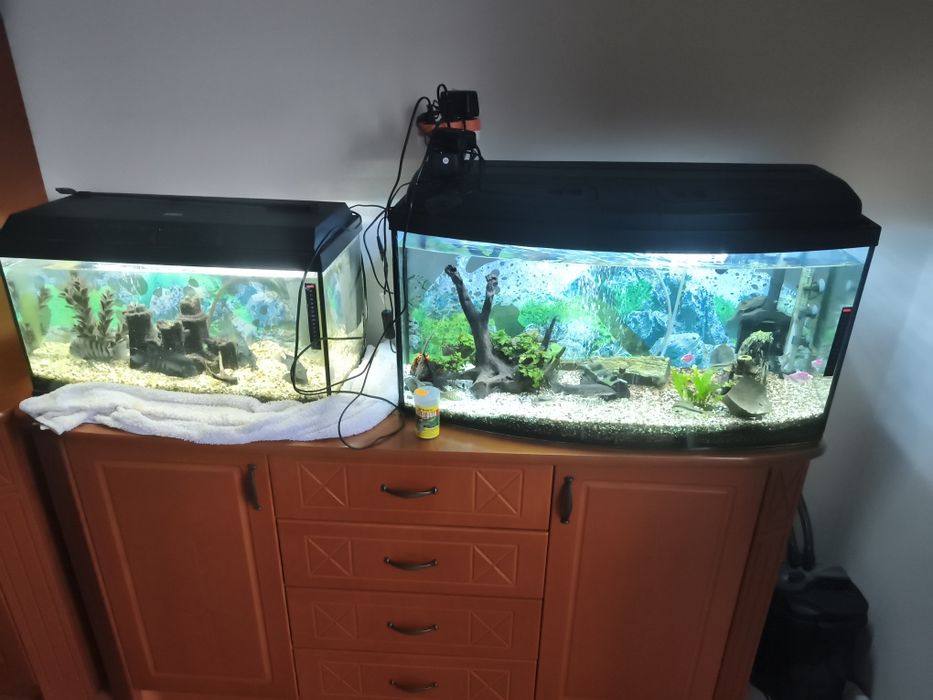 Sprzedam zestaw akwaria 120L i 54L