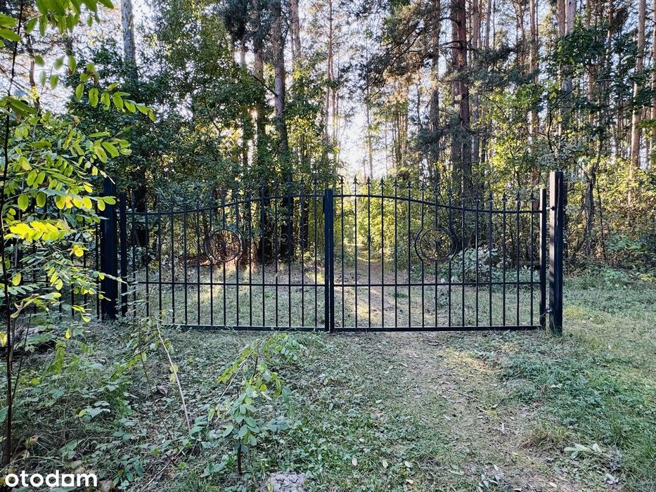 Nad rzeką Liwiec | blisko Warszawa, Wyszków, Kamieńczyk, Nadkole