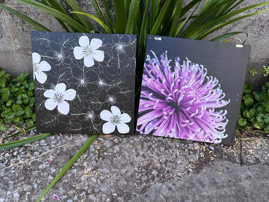 Dois Quadros Decorativos