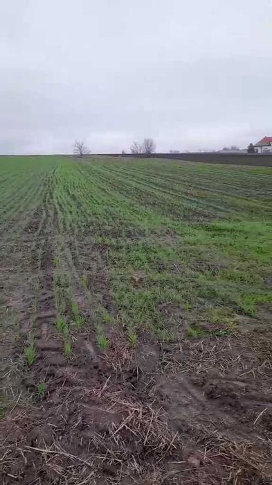 Продаж земельної ділянки в с. Германівка, Обухівський район
