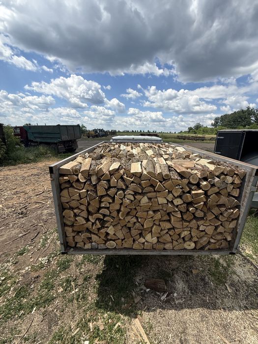 Дрова твердих порід дуб ясень акація доставка по місту та області