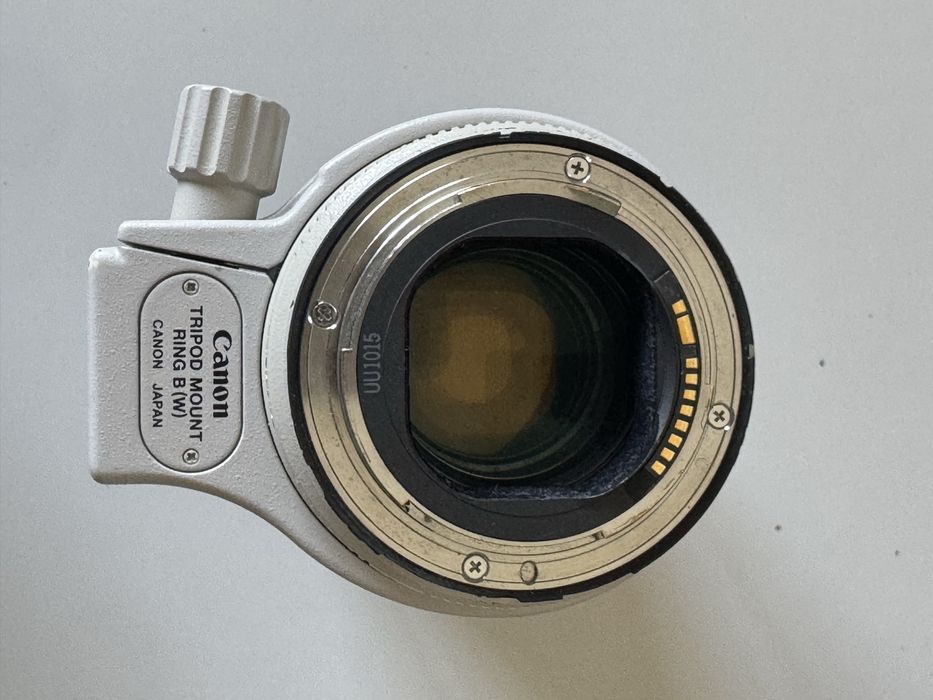 Canon 70-200 L USM