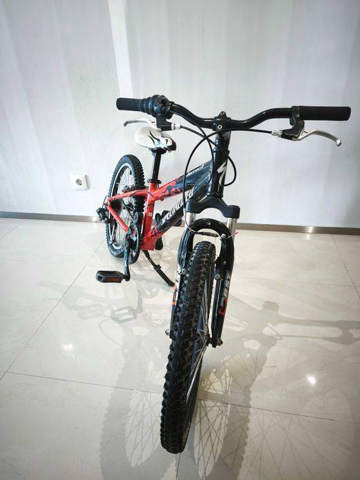 Specialized roda 20