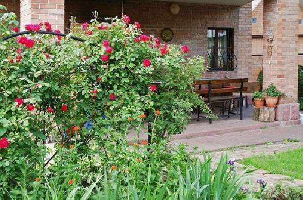 Посуточная аренда дома 250 кв. Метро Левобережная. НОВЫЙ ГОД-СВОБОДНО