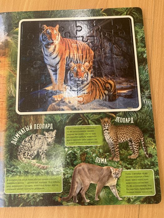 Книга с пазлами «Удивительные животные»