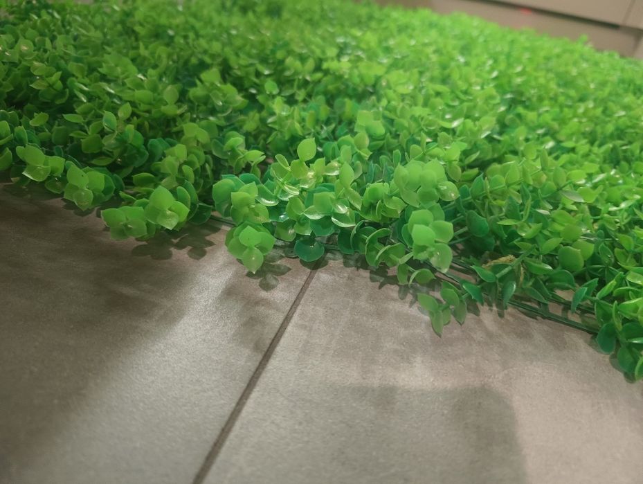 Panel dekoracyjny zielona ściana eukaliptus 40x60 razy 4