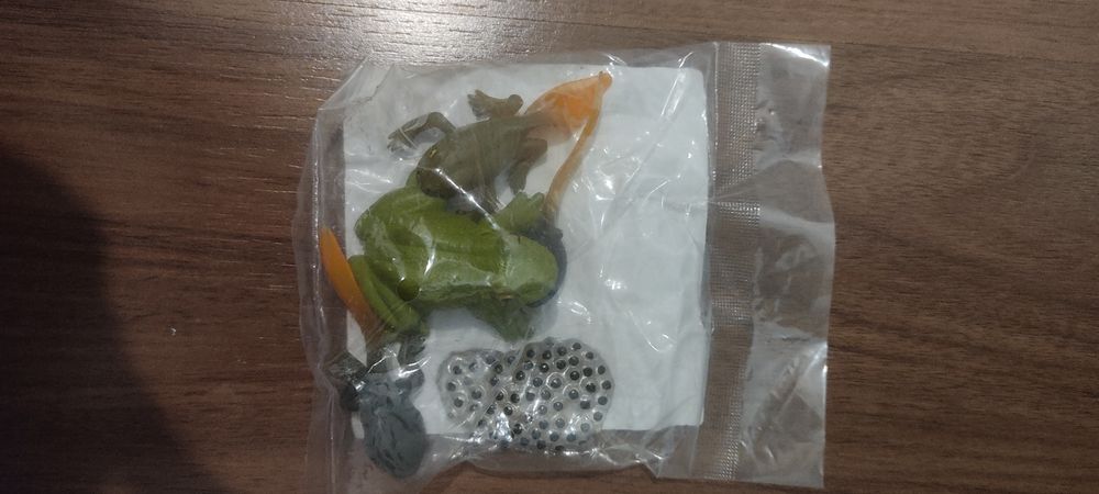 Ciclo da vida do sapo