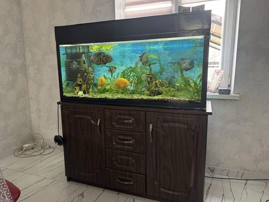 Акваріум ємністю 240л