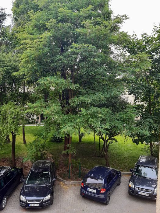 Zdjęcie 8