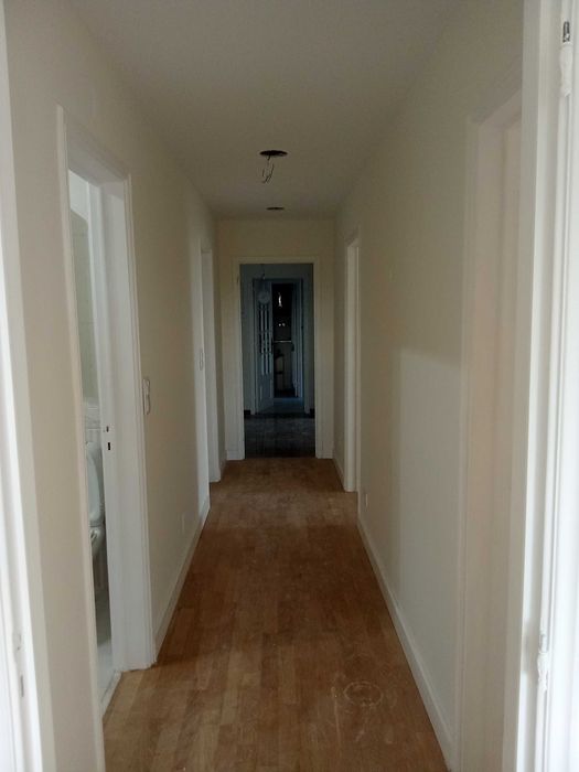 Sou pintor profissional