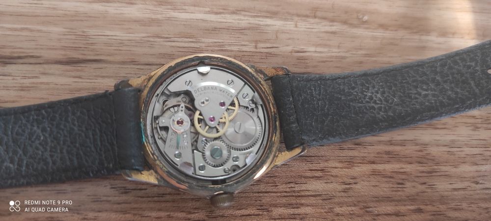Zegarek Delbana Swiss Made Inabloc