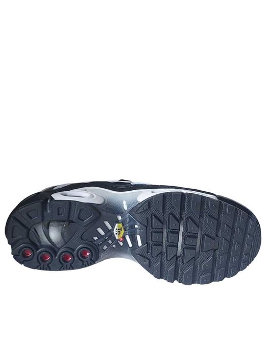 Кроссовки Nike Air Max Tn Plus(A01-29) р-ры 41-46