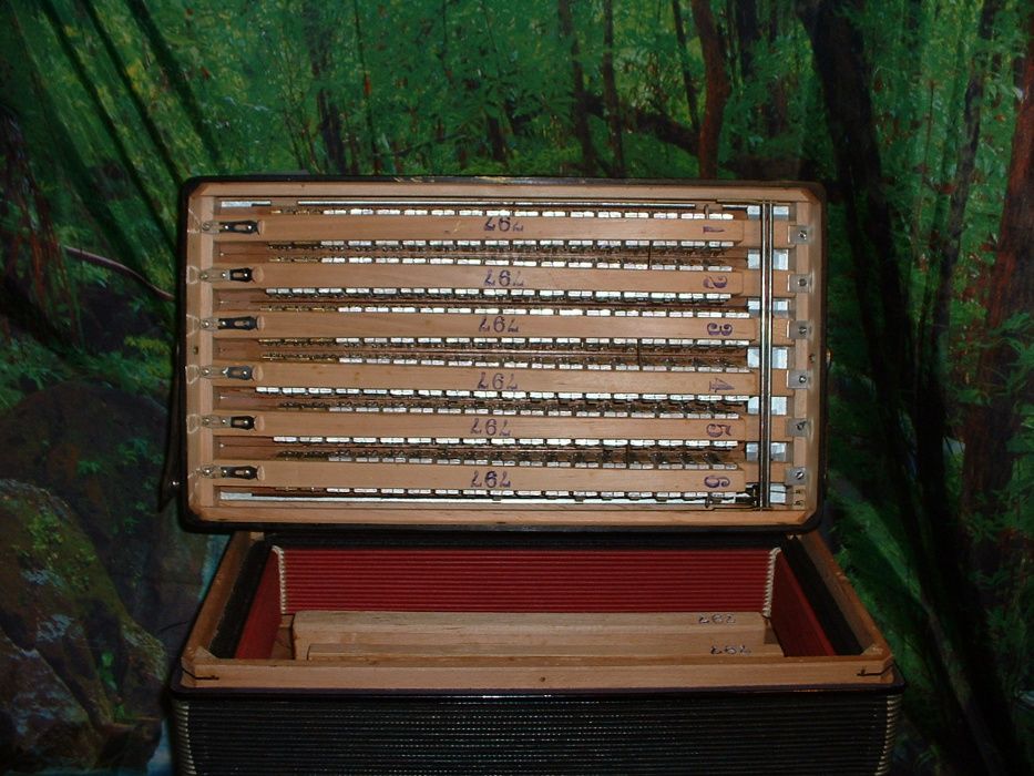 Acordeão Avenda G, .547