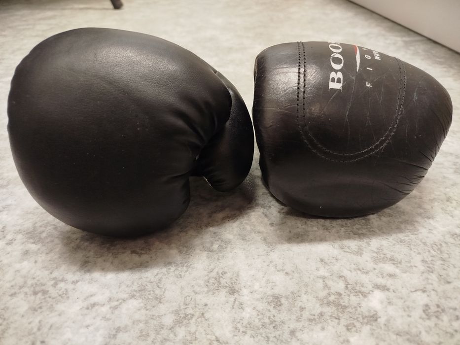Рукавиці боксерські Pro Touch і Booster шкіра