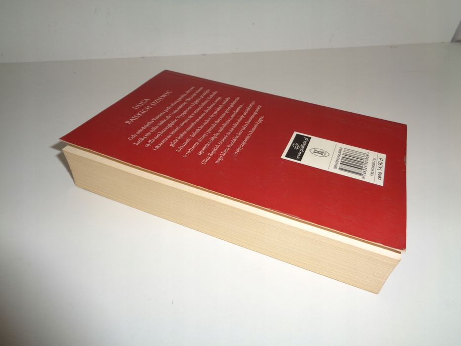 Ulica Rajskich Dziewic Barbara Wood