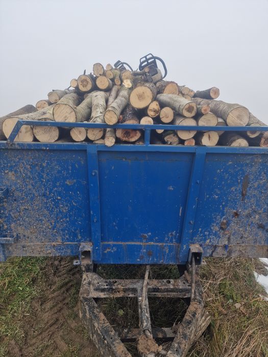 Продам дрова м'якої породи