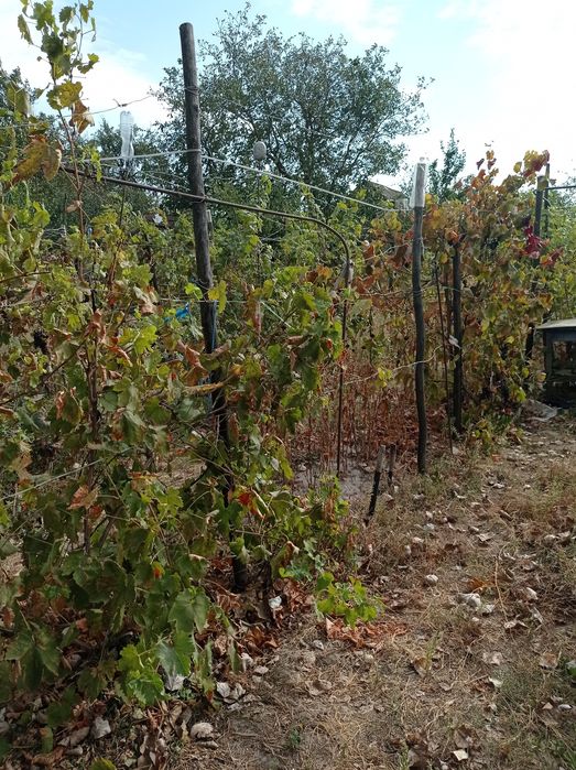 Будинок в 100км від Київа. Село Чемер.