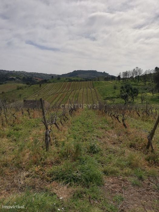 Terreno Rústico Meca - Alenquer