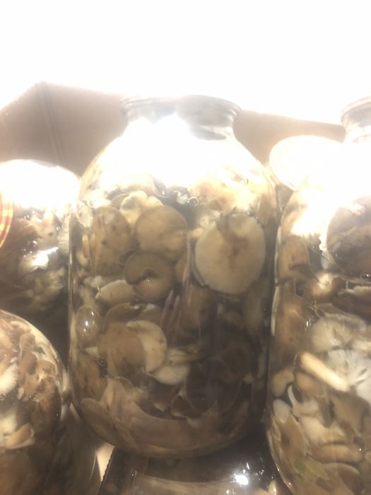 Мариновані гриби