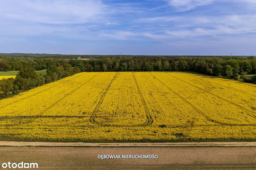 II etap sprzedaży / Atrakcyjne nowe osiedle w Gronówku / blisko Leszna