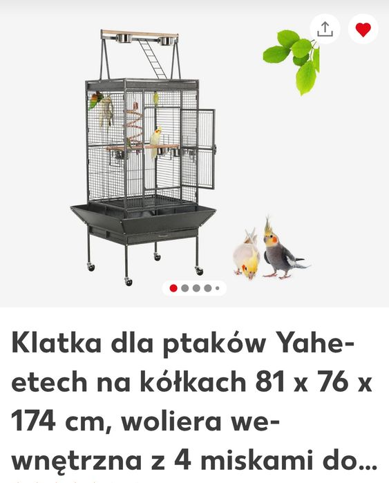 Kładka dla papug