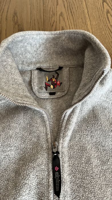 Polar alpinus szary, szeroki