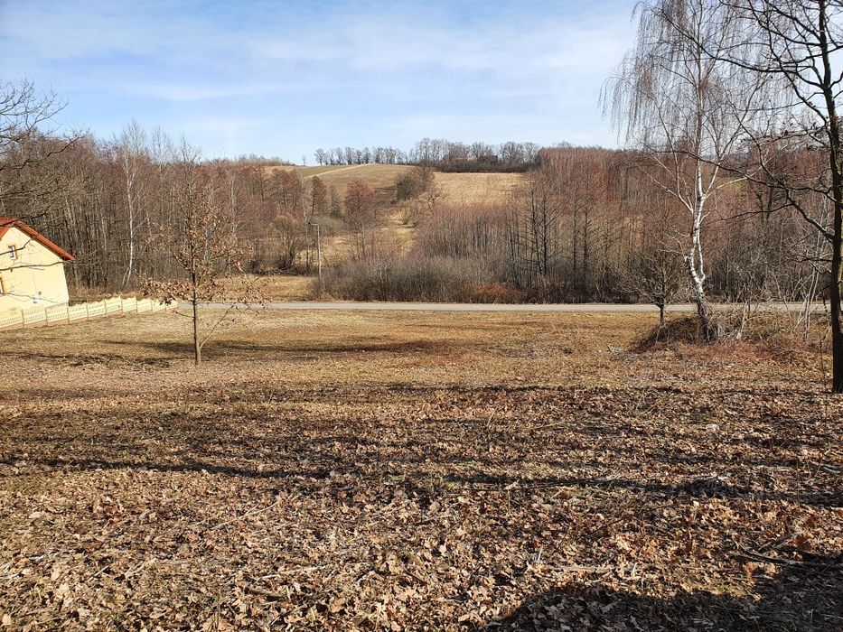 Koszenie kosiarką bijakową, Wycinka drzew, koszenie trawy