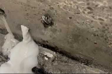 permeabilização de Fachadas / telhados