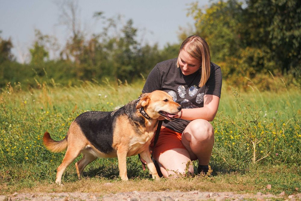 Helcia - cudowna sunia