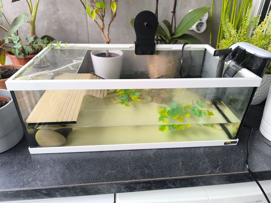 Tartarugueira Tortum 55