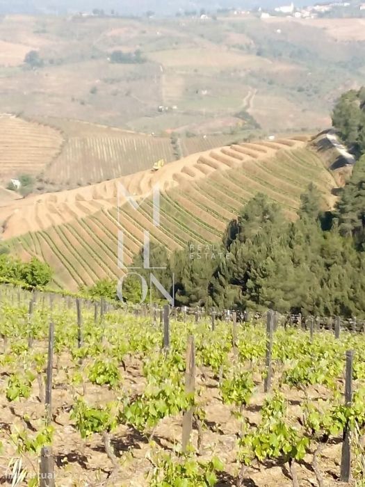 Encantadora Quinta com cerca de 3 Hectares de Tradição e Beleza Natura