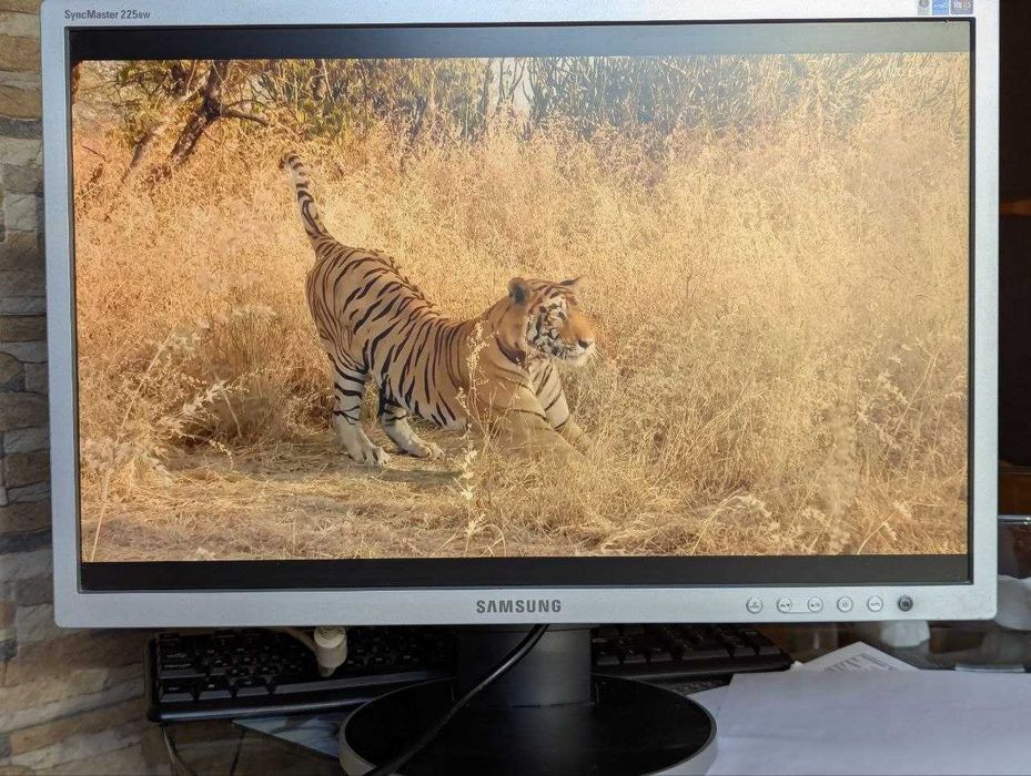 Монітор Samsung SyncMaster 225BW, робочий