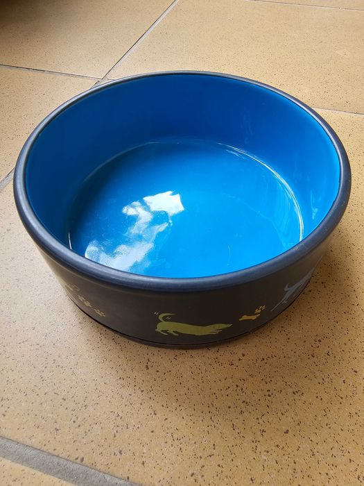Miska ceramiczna dla psa Yarro