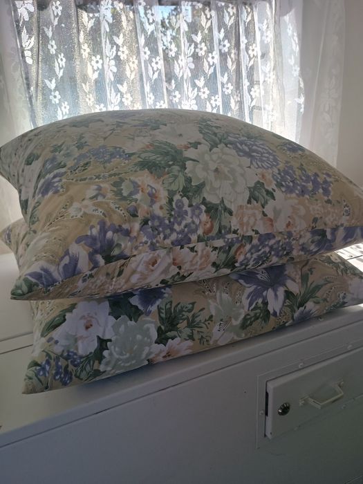 Паровая машина для чистки пера и пуха