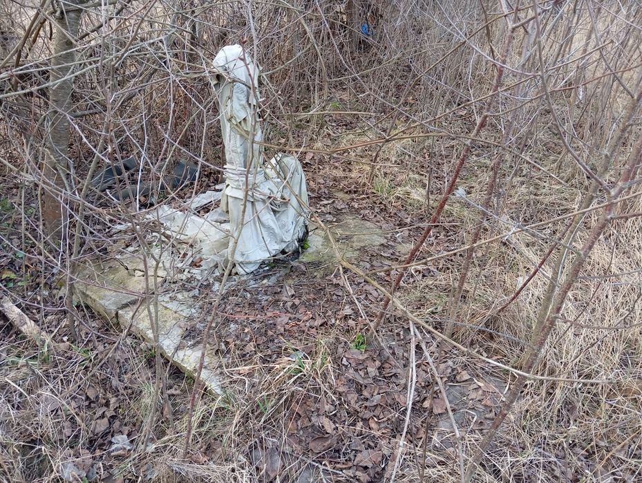 Дача в Полуботках