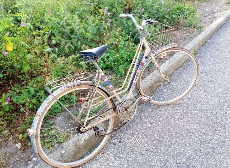 Bicicleta Janette