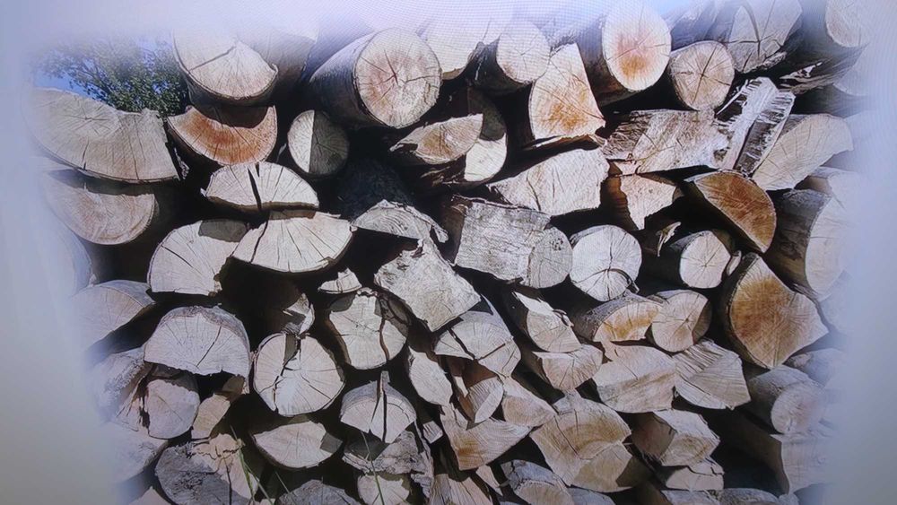 Drewno kominkowe,opałowe -339pln/mp  dąb,grab-SUCHY